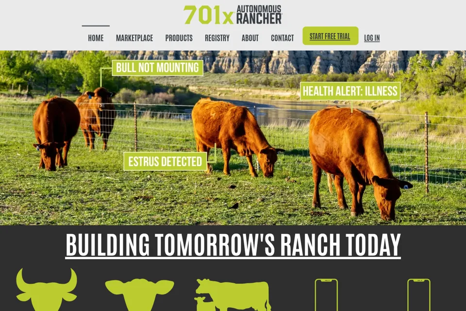 Landing page preview
