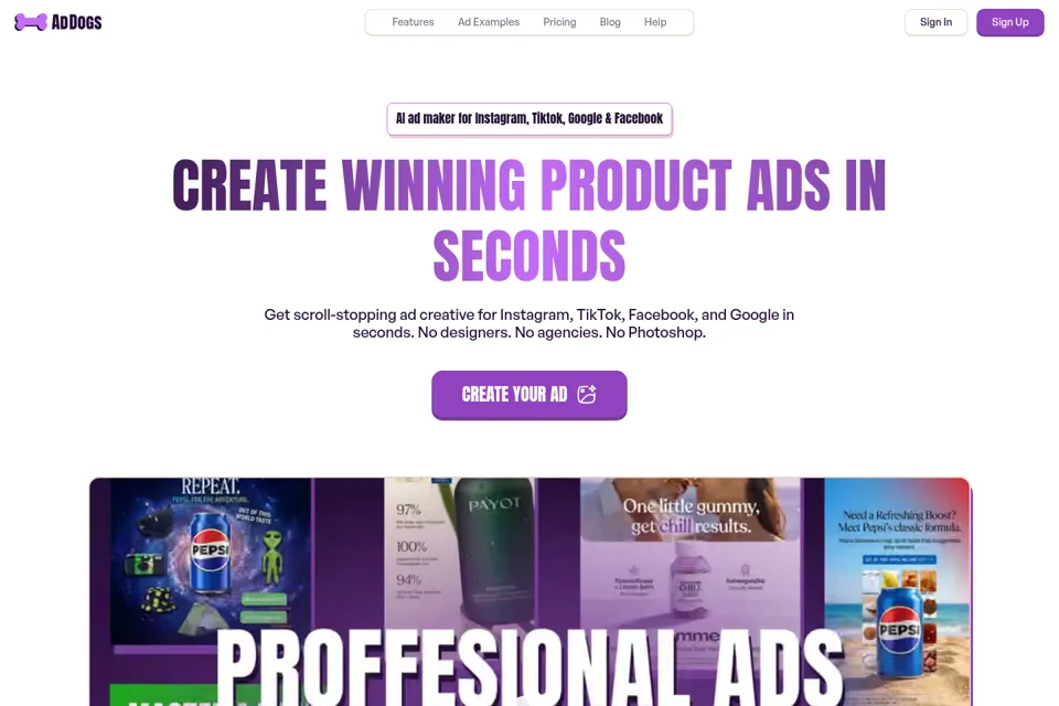 Aperçu de la landing page