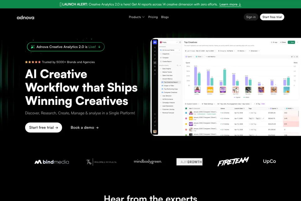 Aperçu de la landing page