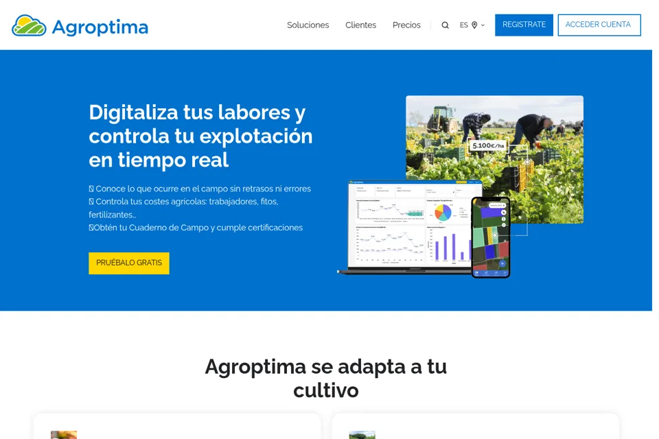 Landing page preview