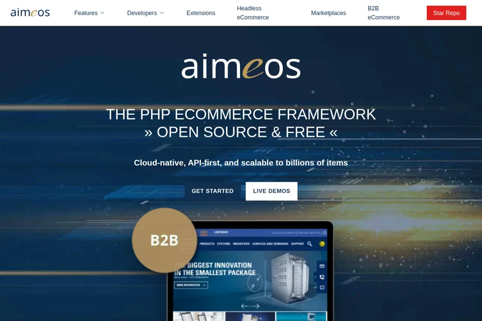Aperçu de la landing page