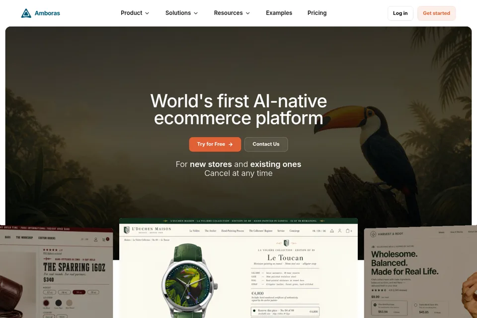 Aperçu de la landing page