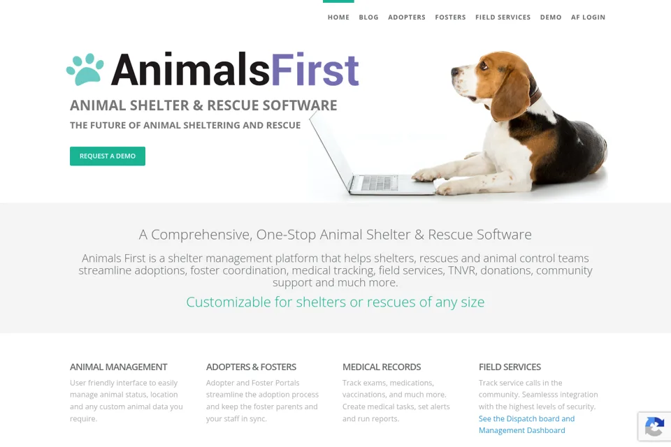 Landing page preview