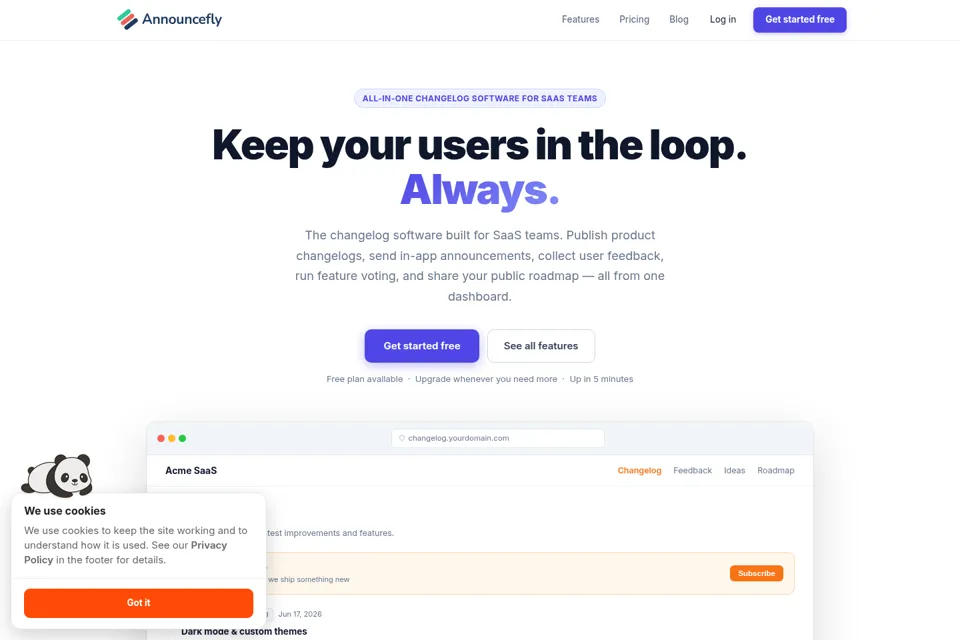 Aperçu de la landing page