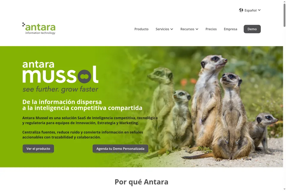 Landing page preview