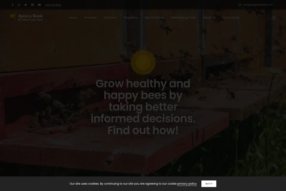 Landing page preview
