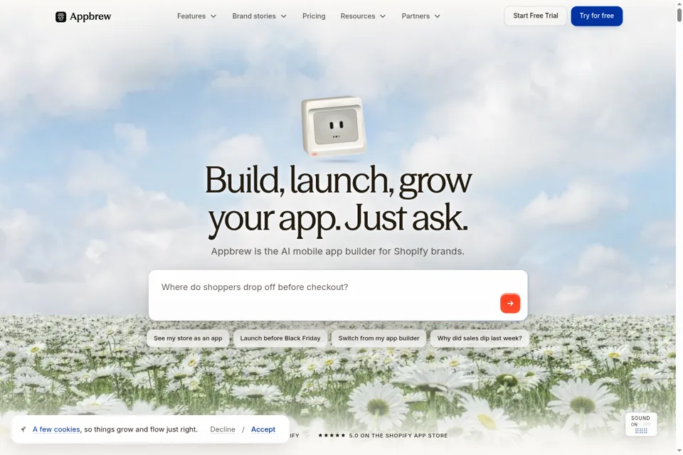 Aperçu de la landing page