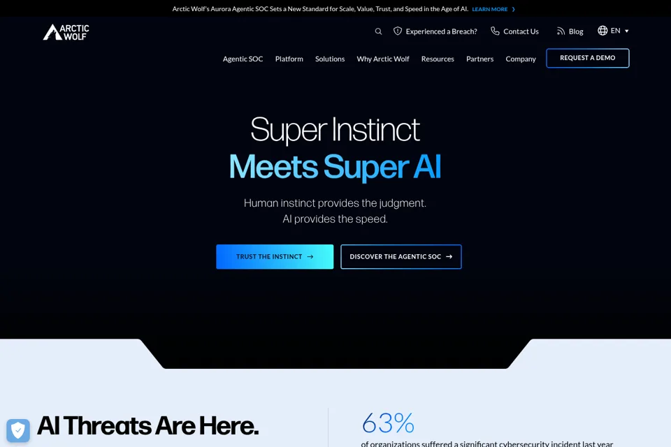 Aperçu de la landing page