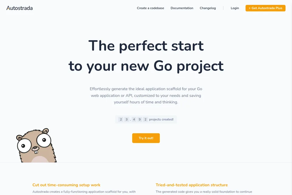 Aperçu de la landing page