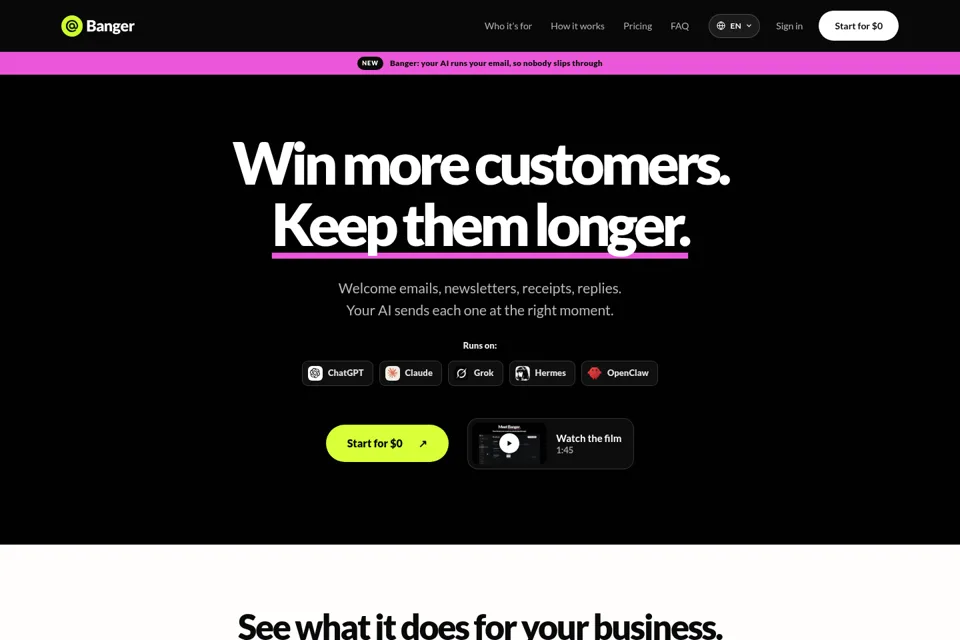 Aperçu de la landing page
