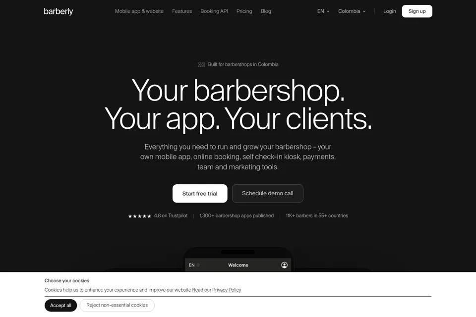 Landing page preview