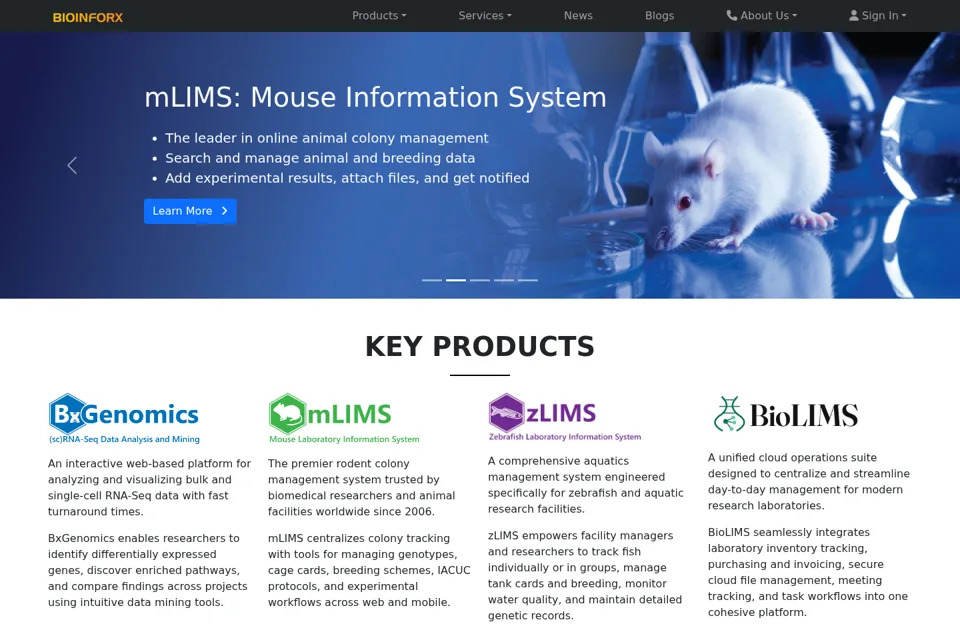 Landing page preview