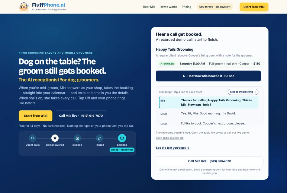 Aperçu de la landing page