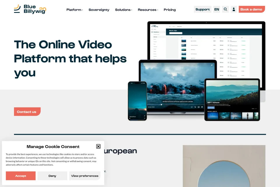 Landing page preview