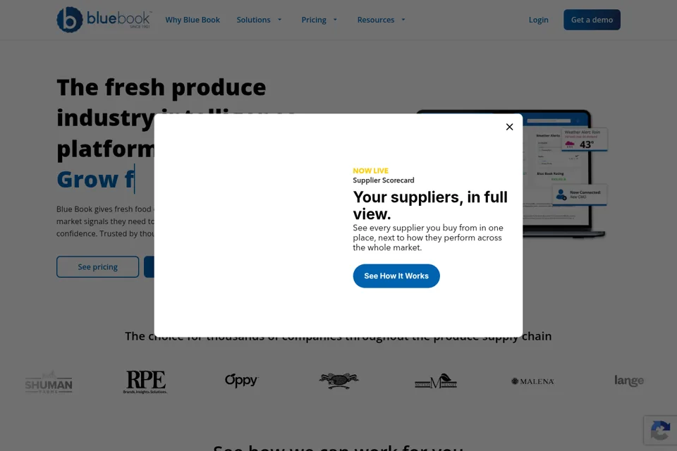 Landing page preview