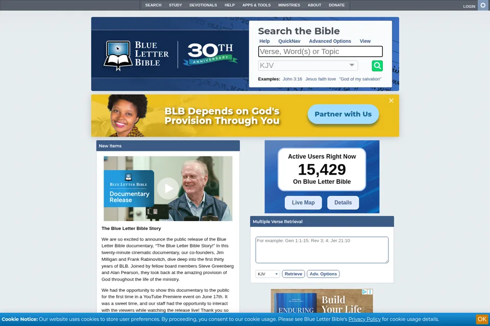 Landing page preview