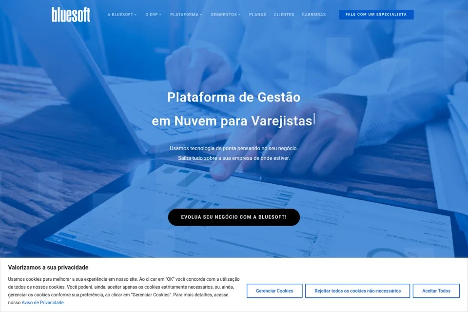 Aperçu de la landing page