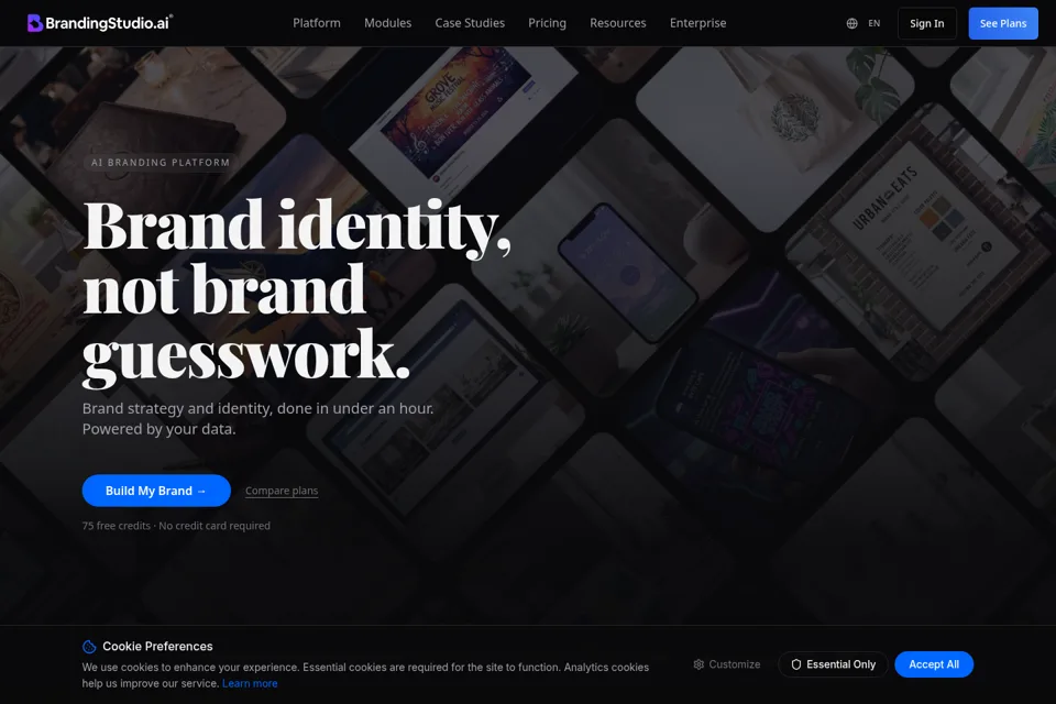 Aperçu de la landing page