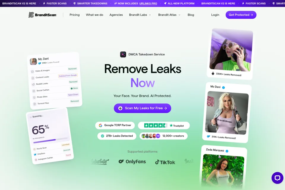 Aperçu de la landing page