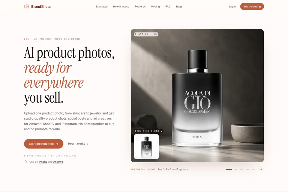 Aperçu de la landing page