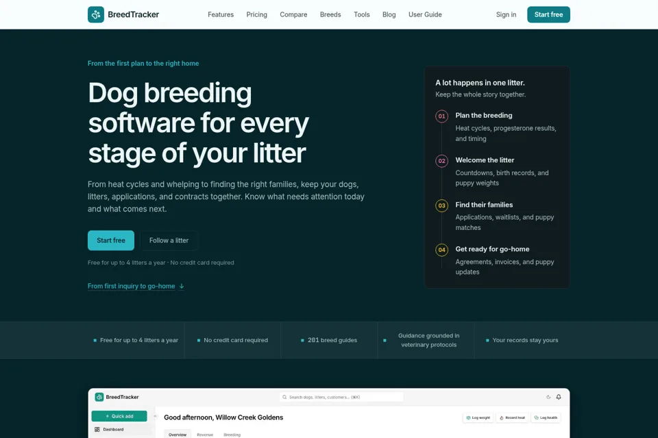 Aperçu de la landing page