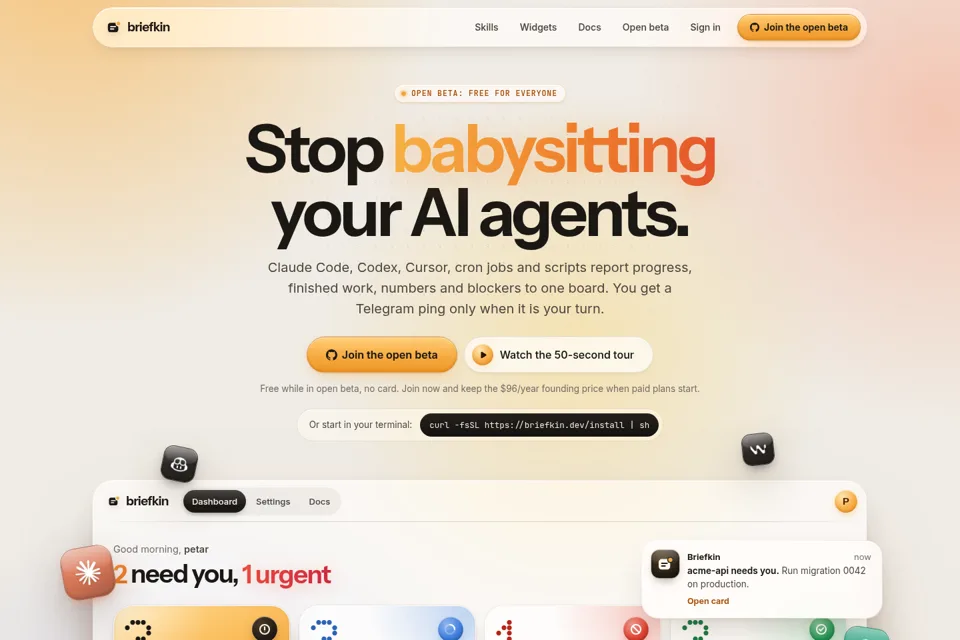 Aperçu de la landing page