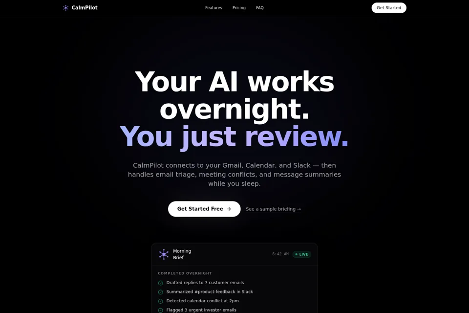 Aperçu de la landing page