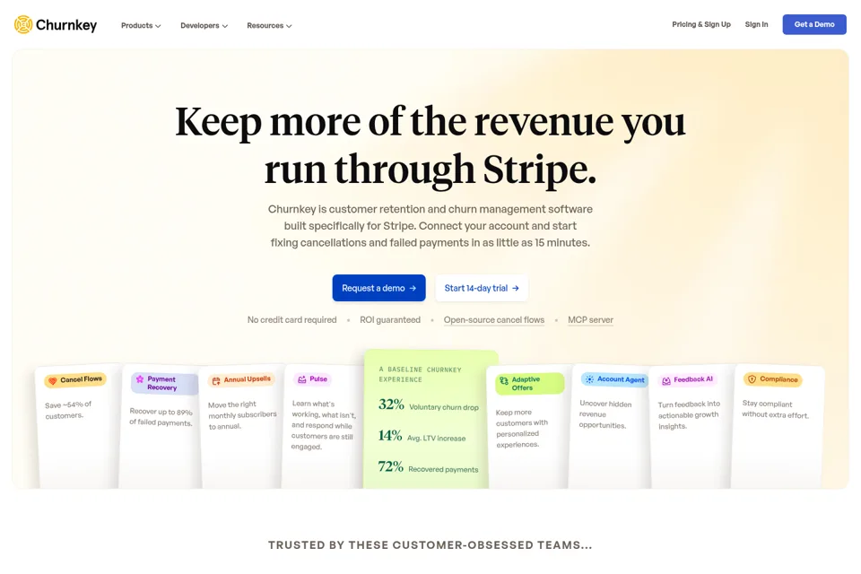 Aperçu de la landing page