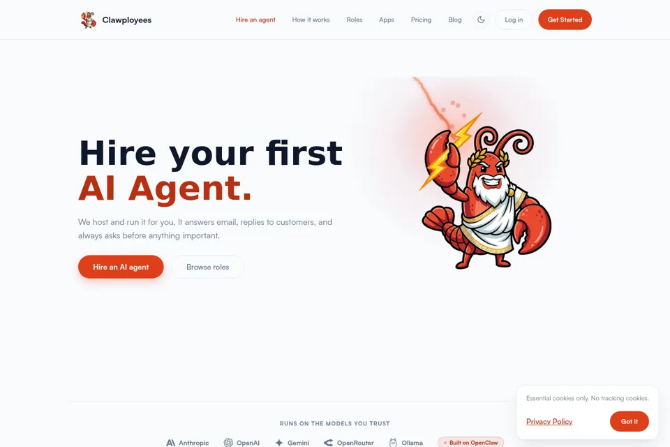 Aperçu de la landing page