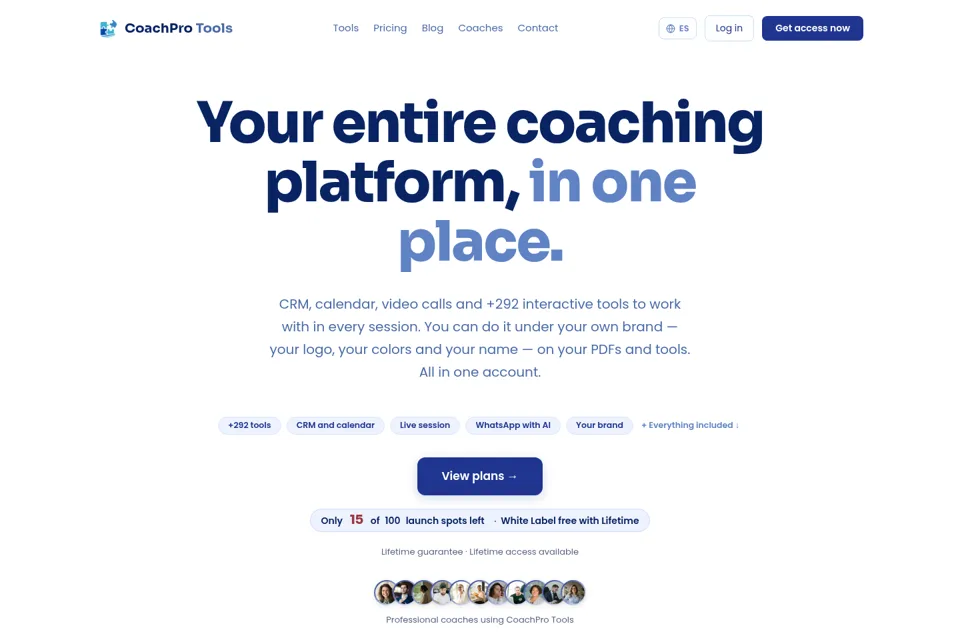 Landing page preview