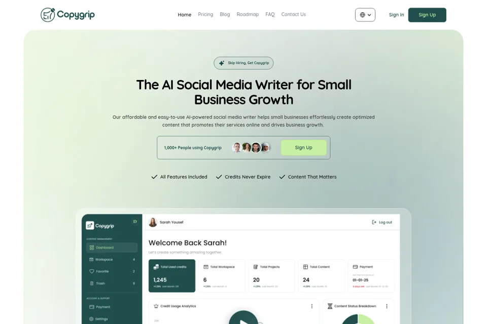 Aperçu de la landing page