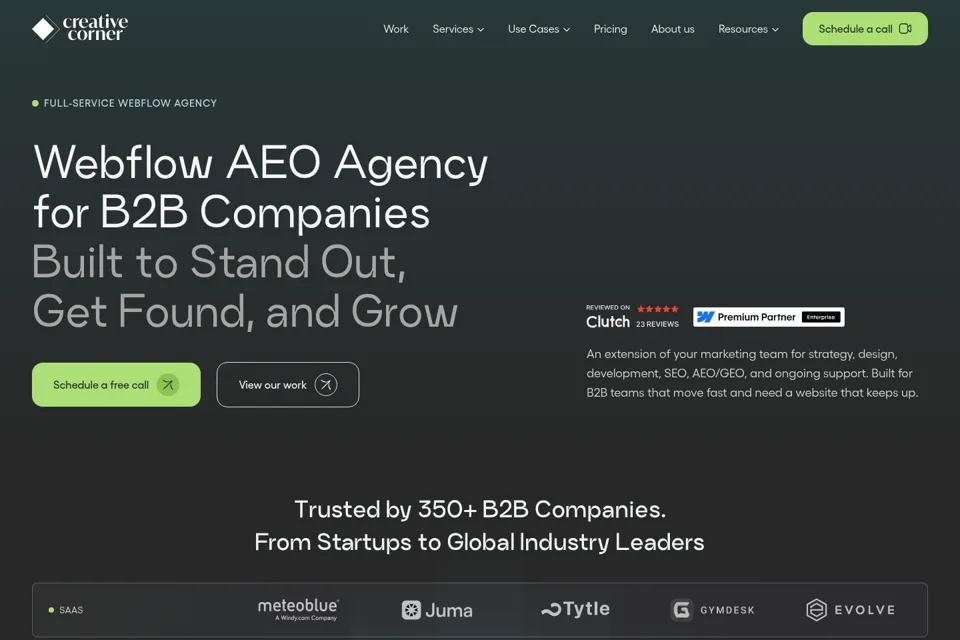 Aperçu de la landing page