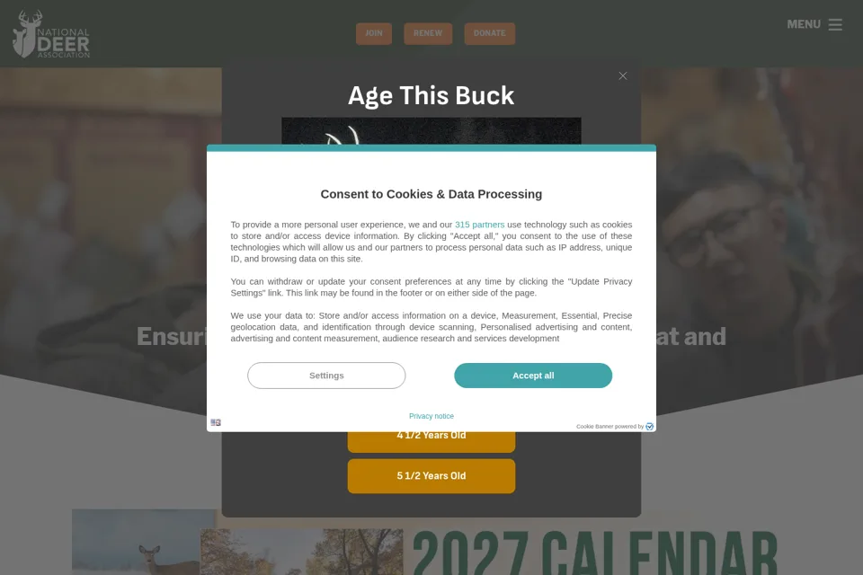 Landing page preview