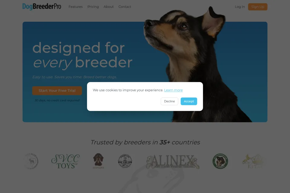 Aperçu de la landing page