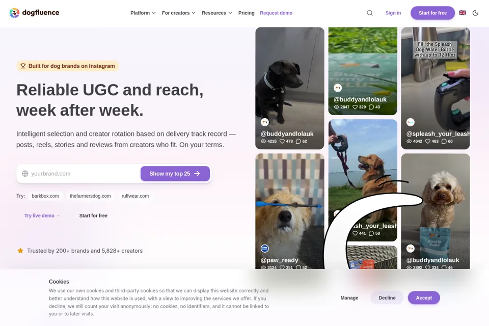 Landing page preview