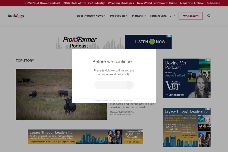 Landing page preview