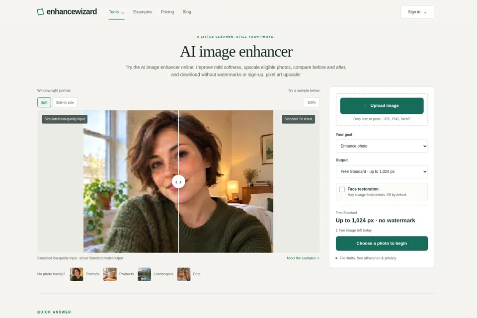 Aperçu de la landing page
