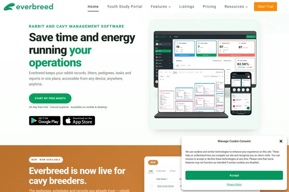 Aperçu de la landing page