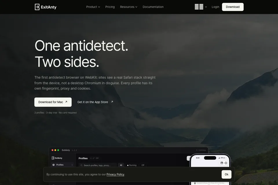 Landing page preview