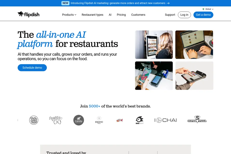Landing page preview