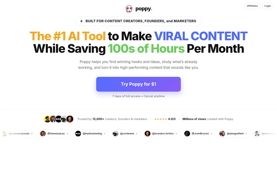 Aperçu de la landing page