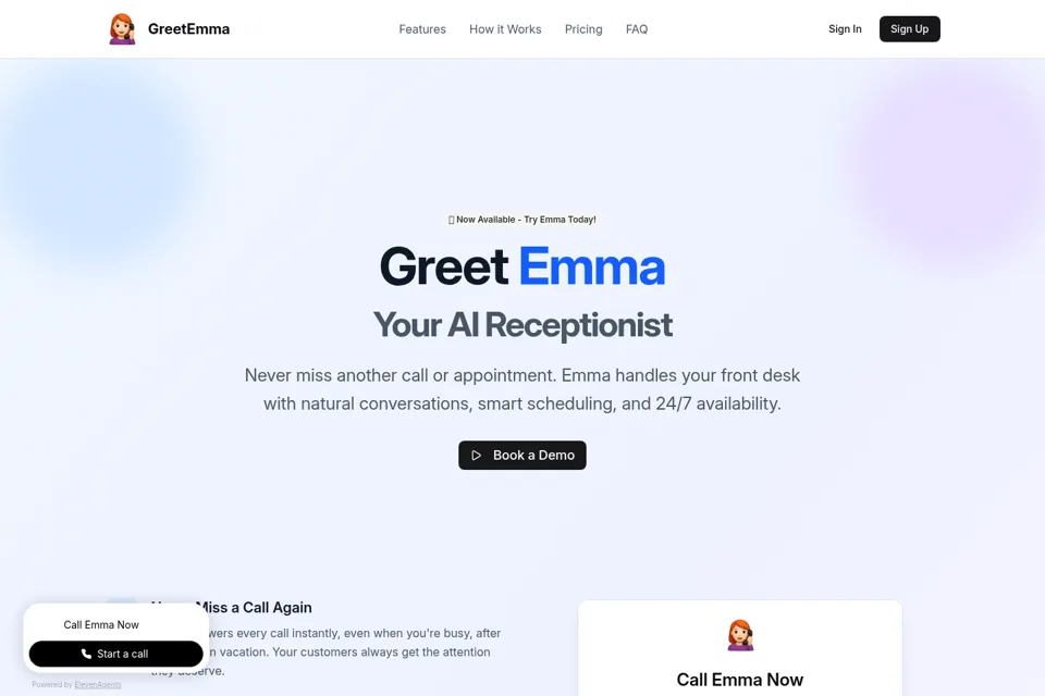 Aperçu de la landing page