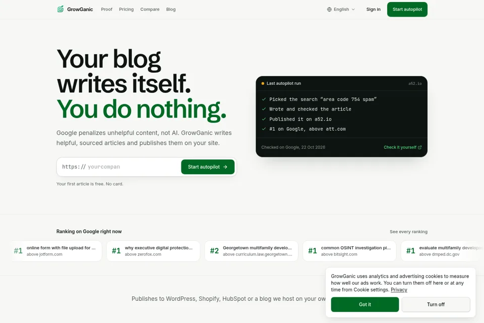 Aperçu de la landing page