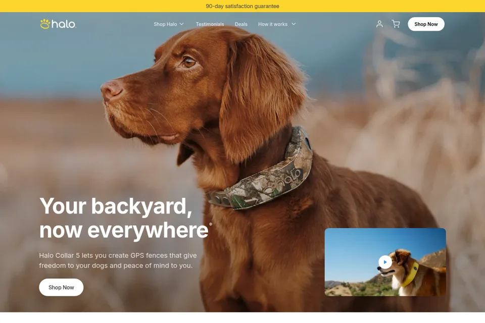 Aperçu de la landing page