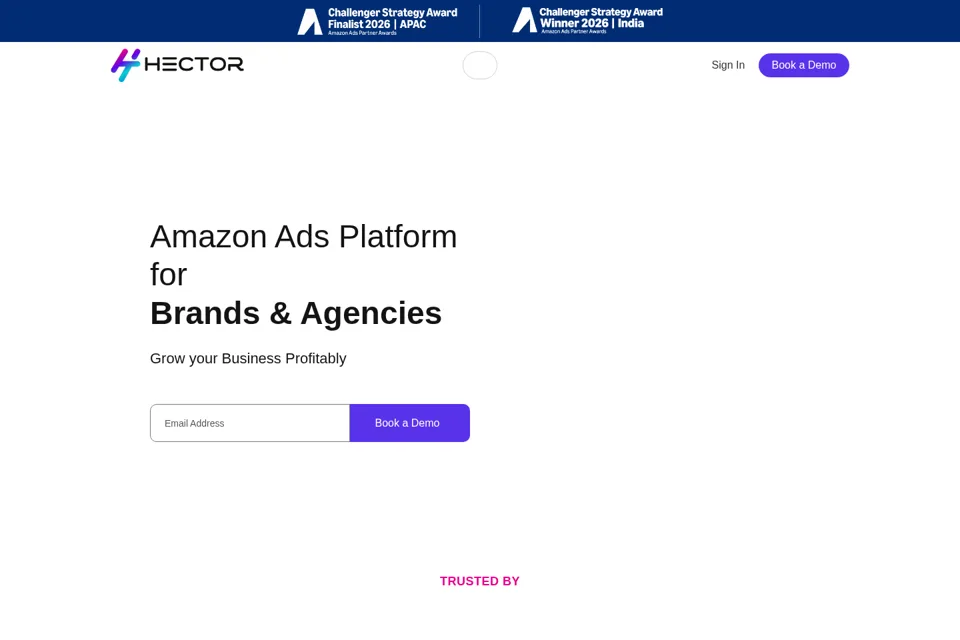 Aperçu de la landing page