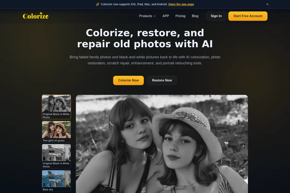 Aperçu de la landing page