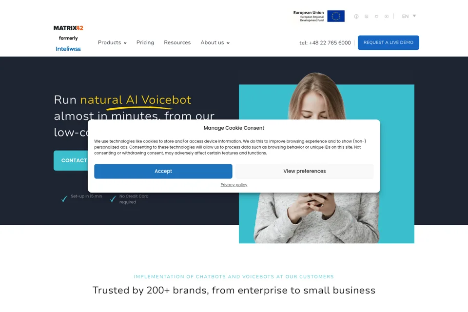 Landing page preview