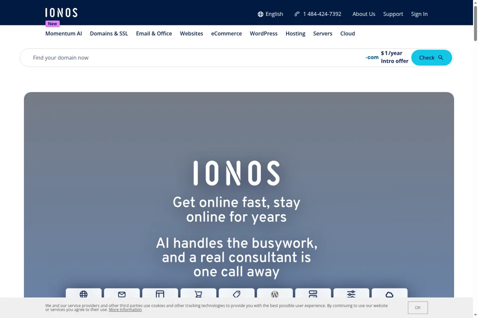 Landing page preview