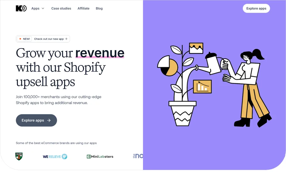 Aperçu de la landing page