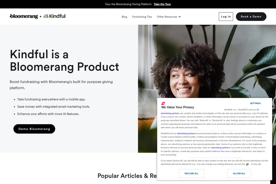 Landing page preview